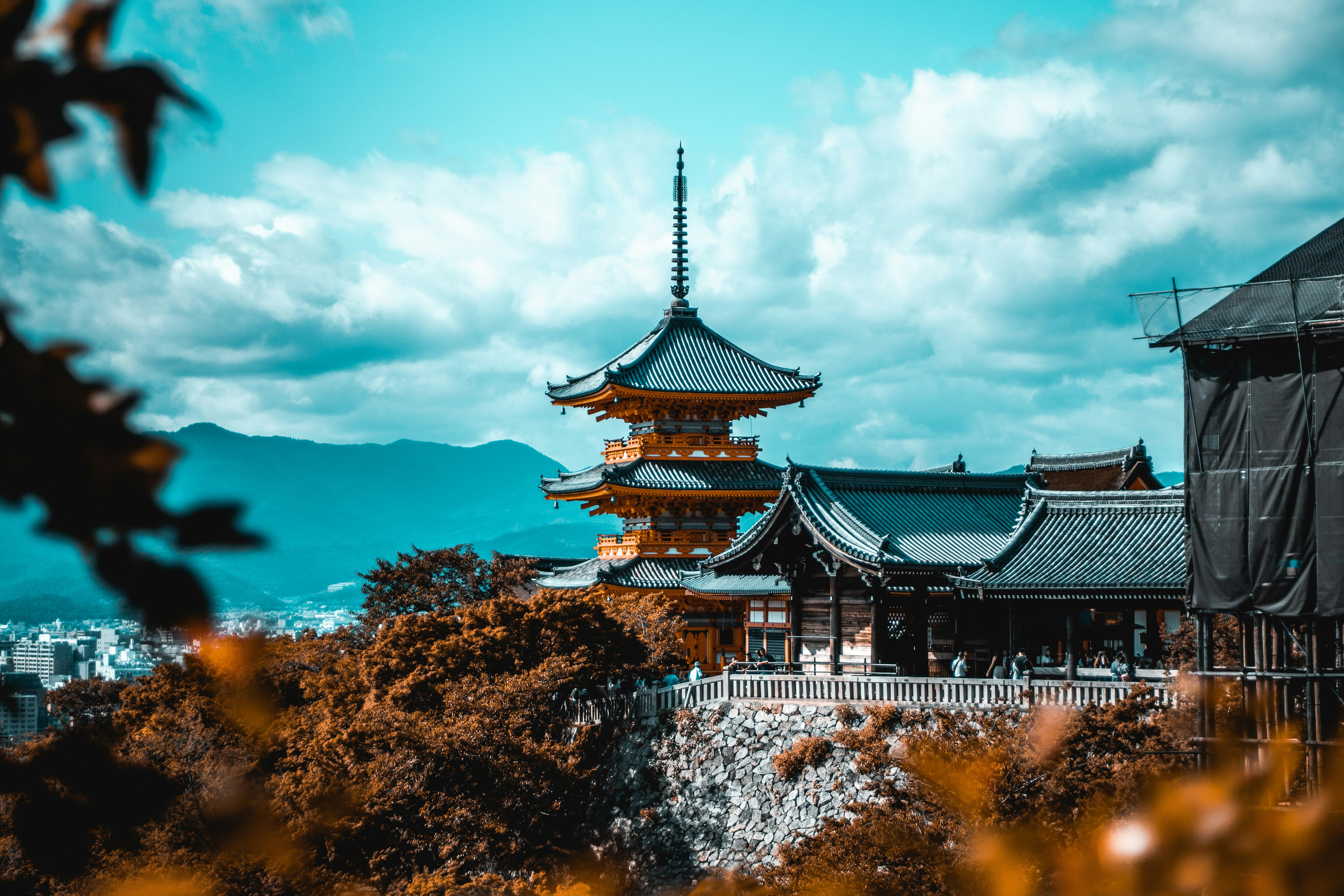 OLLI to Japan