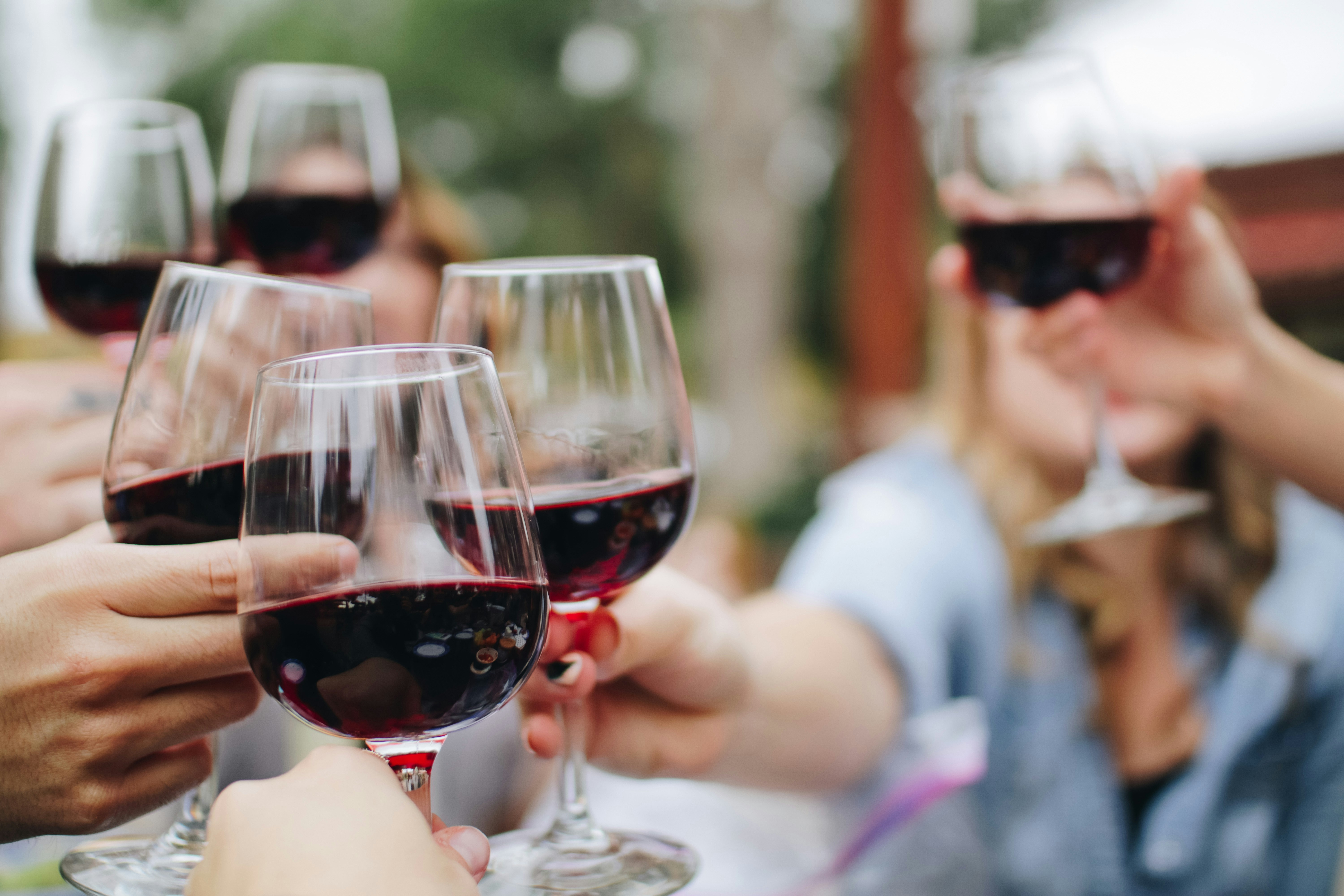 French Wine Tour with OLLI